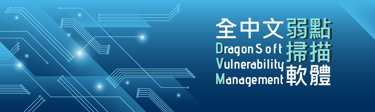 中華龍網 DVM 全中文弱點掃描軟體